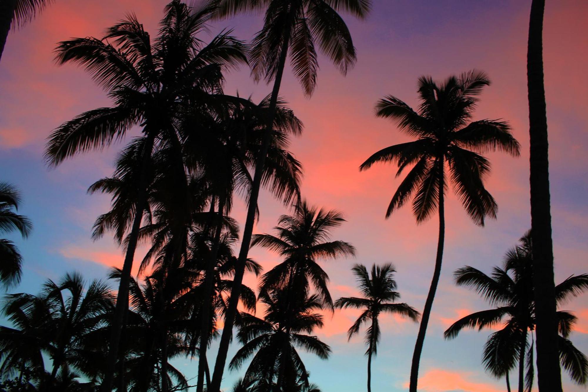 Hotel Todoblanco, Las Galeras, Samana ภายนอก รูปภาพ