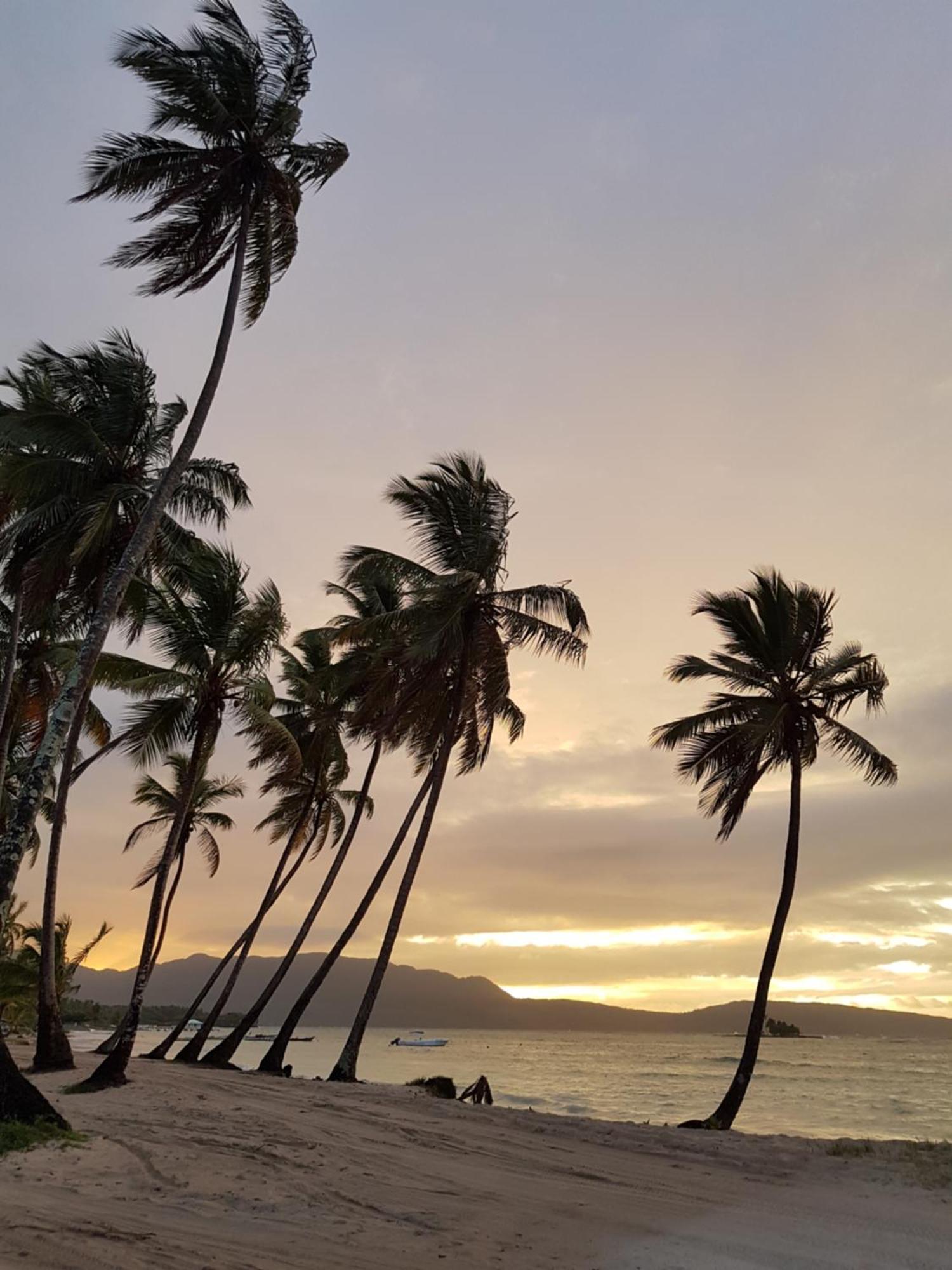 Hotel Todoblanco, Las Galeras, Samana ภายนอก รูปภาพ